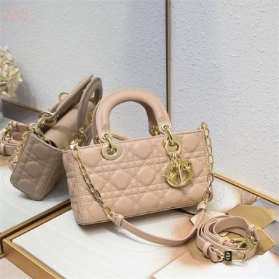 Dior Bags AAA 169